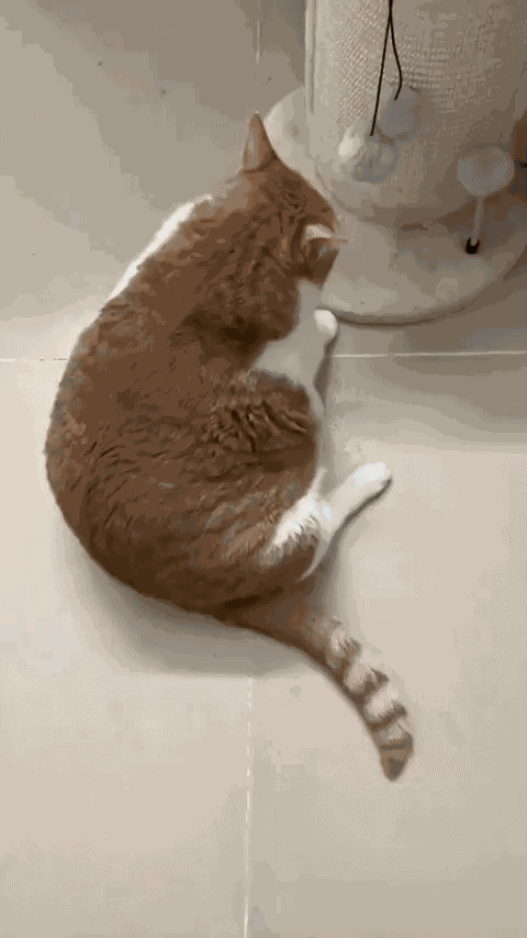 Animiertes GIF