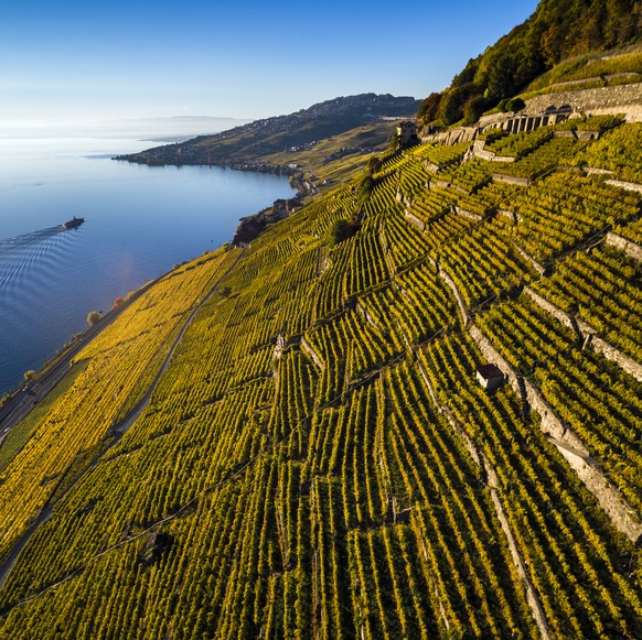 Lavaux Vineyards terraces, part of the UNESCO World Heritage Site of Lavaux overlooking Lake Geneva are pictured at sunset in Puidoux, Switzerland, Friday, October 13, 2017. (KEYSTONE/Valentin Flauraud)