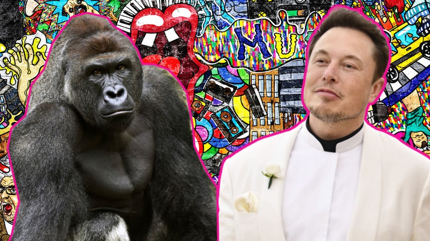 Harambe (links) und Elon Musk (rechts).