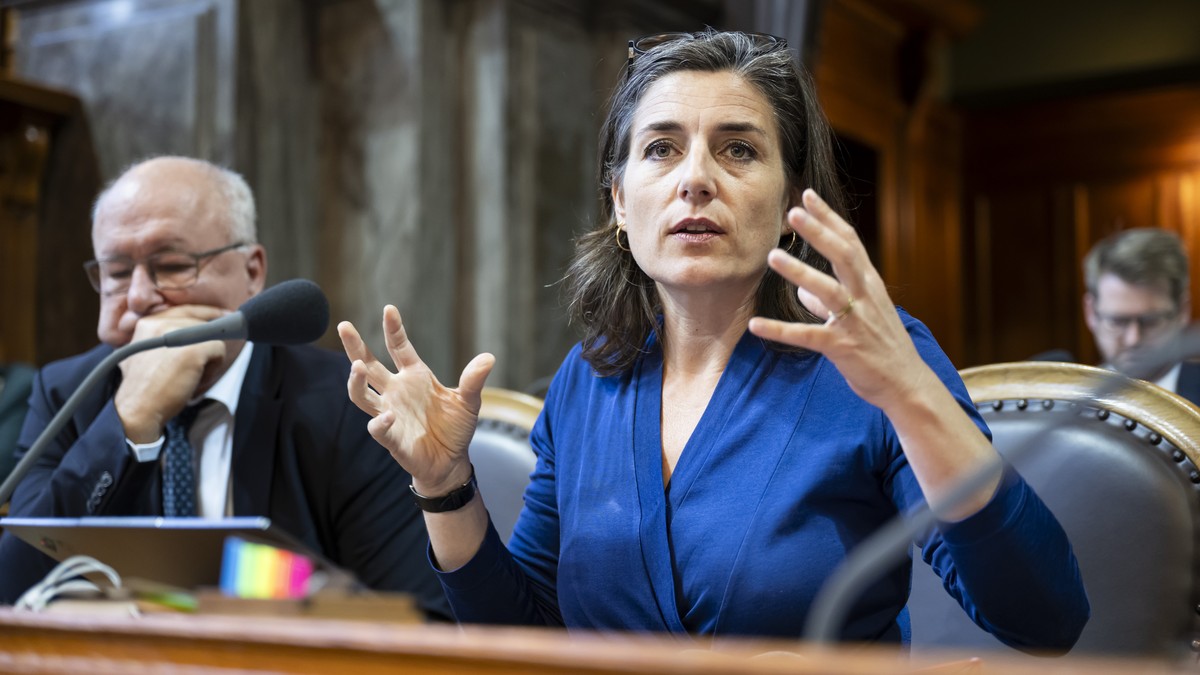 St-nderat-will-Schwangere-ohne-Stelle-besser-absichern
