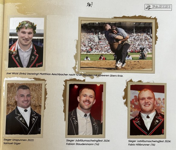 7 Punkte, die beim Schwinger-Panini-Album auffallen