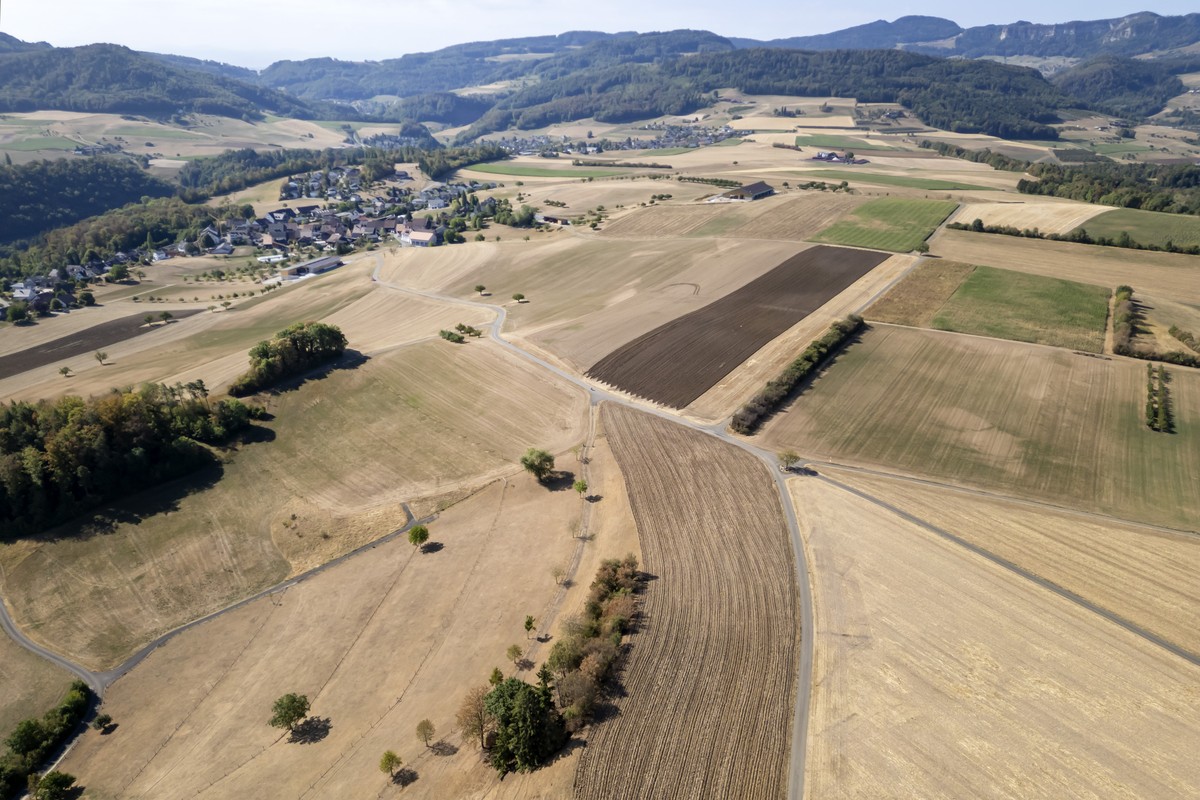 KEYPIX - Luftaufnahme von ausgetrockneten Feldern in Wittinsburg am Freitag, 7. August 2026. (KEYSTONE/Georgios Kefalas)