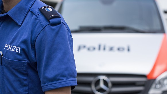 Am frühen Dienstagmorgen musste die Luzerner Polizei zu einem Unfall auf der Autobahn A2 bei Sursee ausrücken. (Symbolbild)