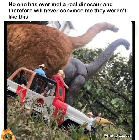 dinosaurier
cute news