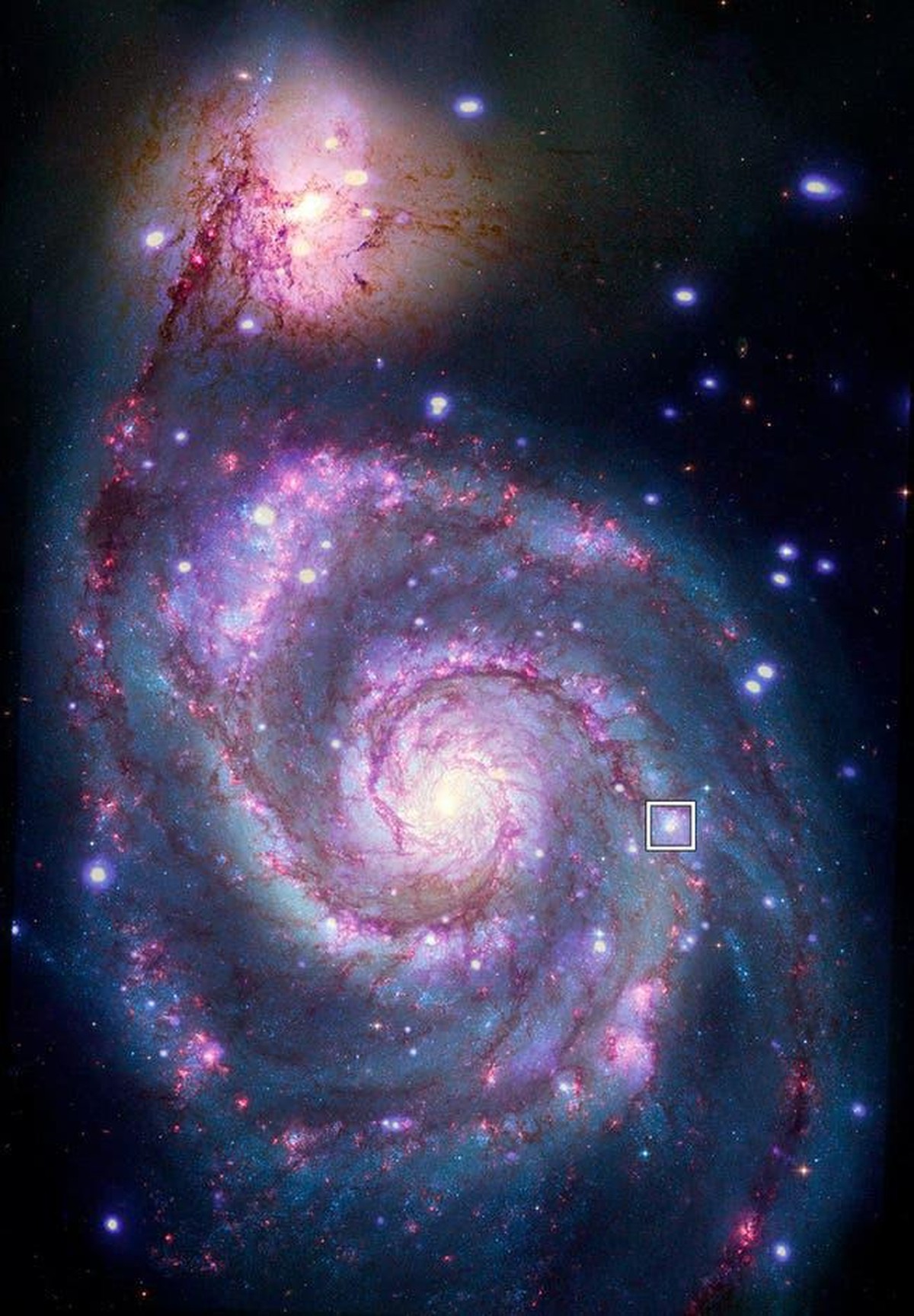 Die Galaxie Messier 51 mit der Position des Röntgendoppelsterns und des Exoplaneten.