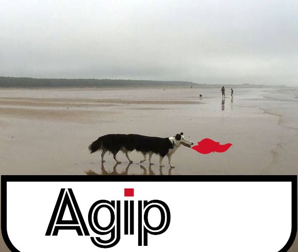 Viele, viele, viele bunte ... Bilder. Es gibt Bilder. Und Gifs. Picdump.
Vom Faildienstag geklaut und modifiziert ЁЯШК