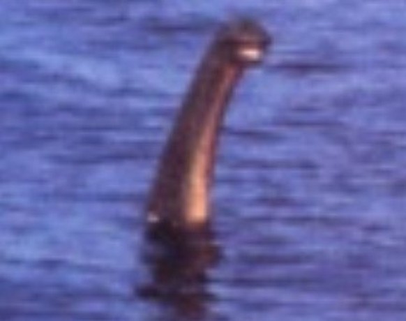 Mutmassliche Fotografie vom Ungeheuer von Loch Ness aus dem Jahr 1977 von Anthony Shiels.