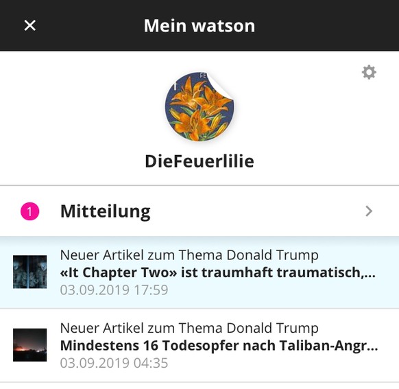 «It Chapter Two» ist traumhaft traumatisch, ein Horror-Harry-Potter für Erwachsene
Ihr seid ja lustig..

Ok, Trump ist definitiv ein Horrorclown.. 😁, aber diese Filmkritik als ‘Neuen Artikel zum Th ...