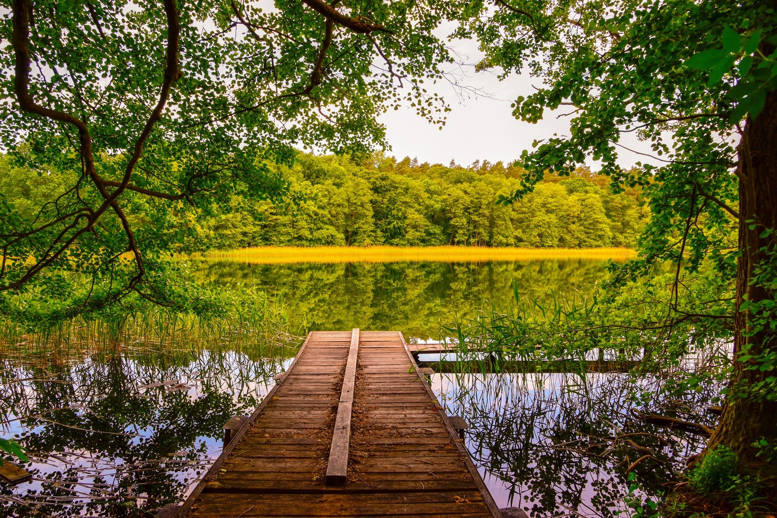 Ein Waldsee bei Templin in der Uckermark.