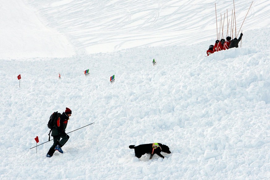 Lawinenniedergang bei Anzères (2009).&nbsp;