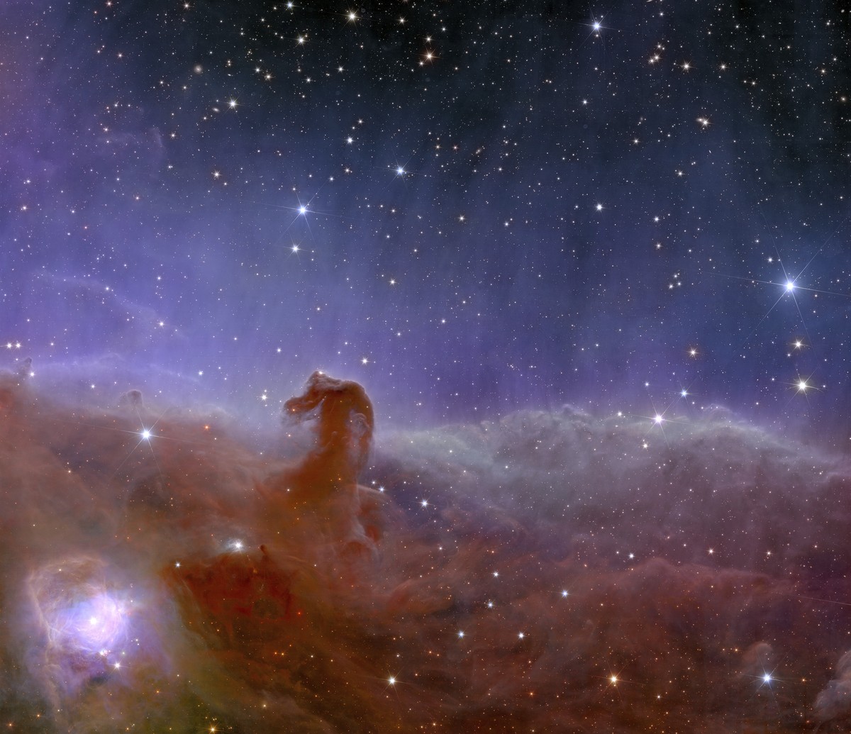 This image provided by the European Space Agency shows Euclid?s panoramic view of the Horsehead Nebula. The European Space Agency released Euclid?s first photos Tuesday, Nov. 7, 2023 four months after ...