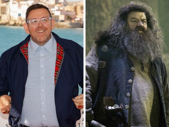 Nick Frost als Rubeus Hagrid