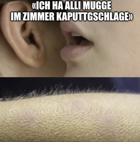 Lustige Mücken Memes