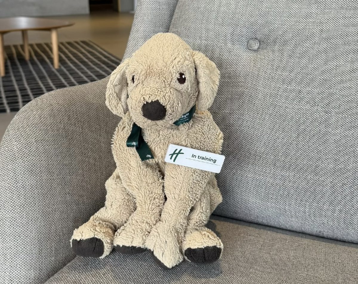 jack hunde plüschtier australien