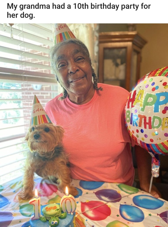 cute news tier hund

https://imgur.com/gallery/21-nice-wholesome-things-to-brighten-day-vol-129-RbMEQ0F#/t/aww