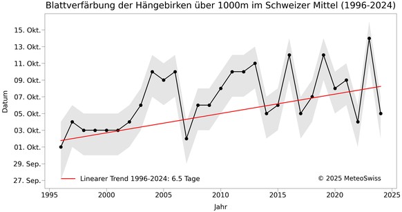 Blattverfärbung Hängebirke über 1000 Meter 1996 bis 2024