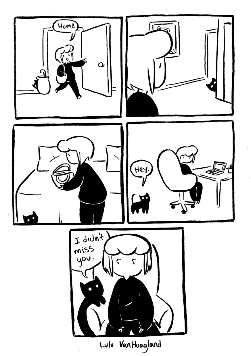 27 Comics, die genau beschreiben, wie das Leben mit einer Katze ist – Katzencomics