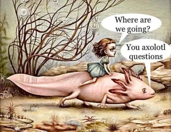 Okay, das ist bislang wirklich das irrste Bild ... ЁЯШВ LG, PICDUMP\nVertrau mir eifach...