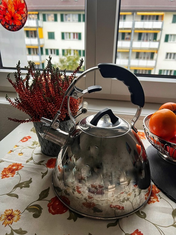 Melinas Teekocher.