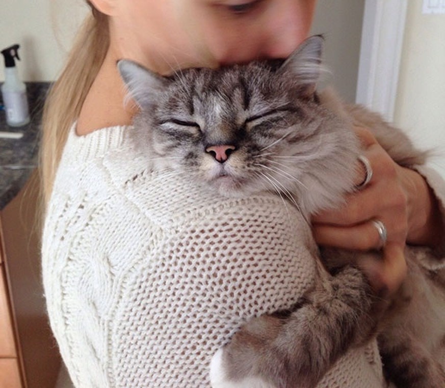 10 Gründe, weshalb Katzen die besten Freunde von Frauen sind