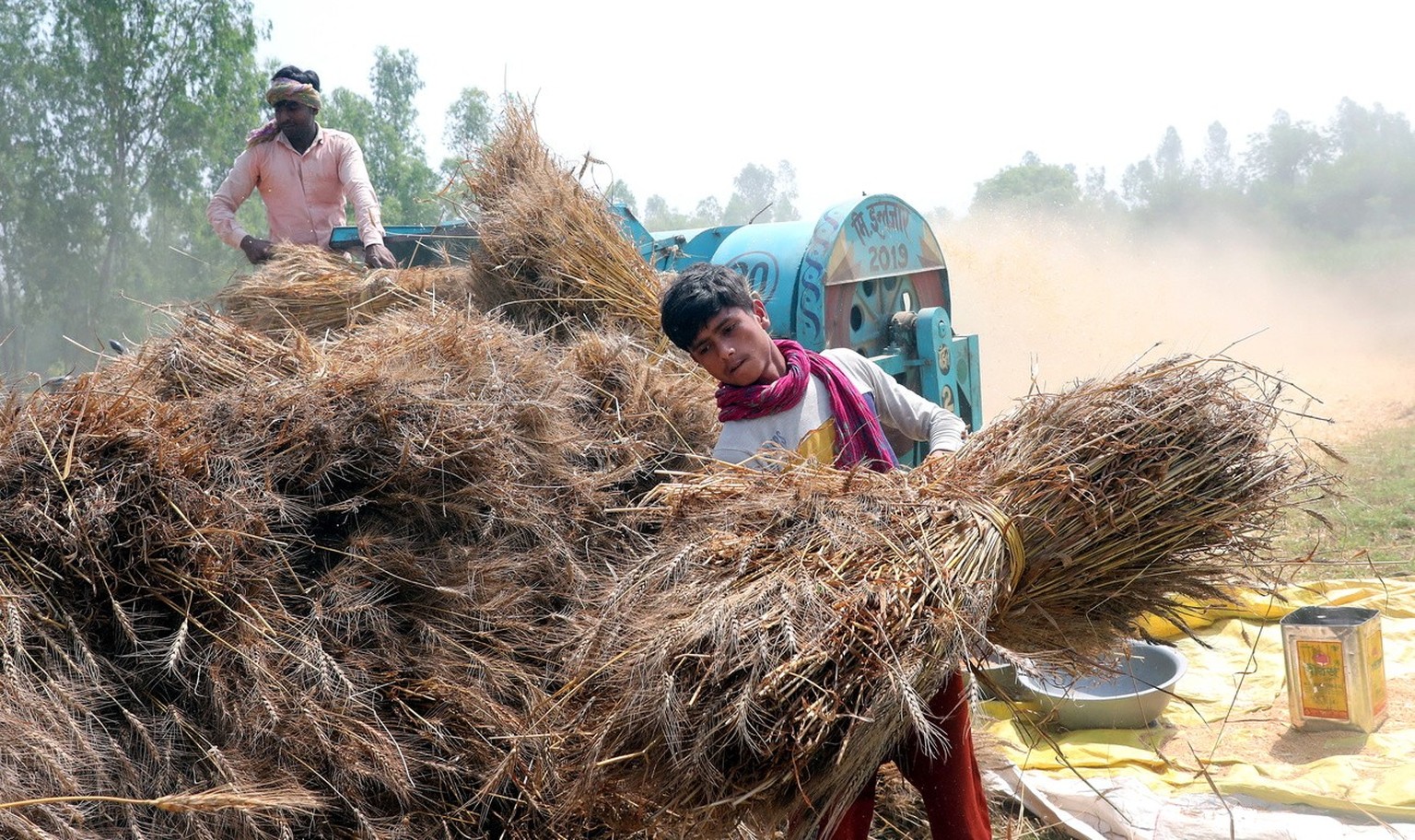 Indische Landwirte benutzen in Neu-Delhi eine Dreschmaschine, um Weizenkörner aus den Strängen herzustellen, aufgenommen am 17. April 2022.