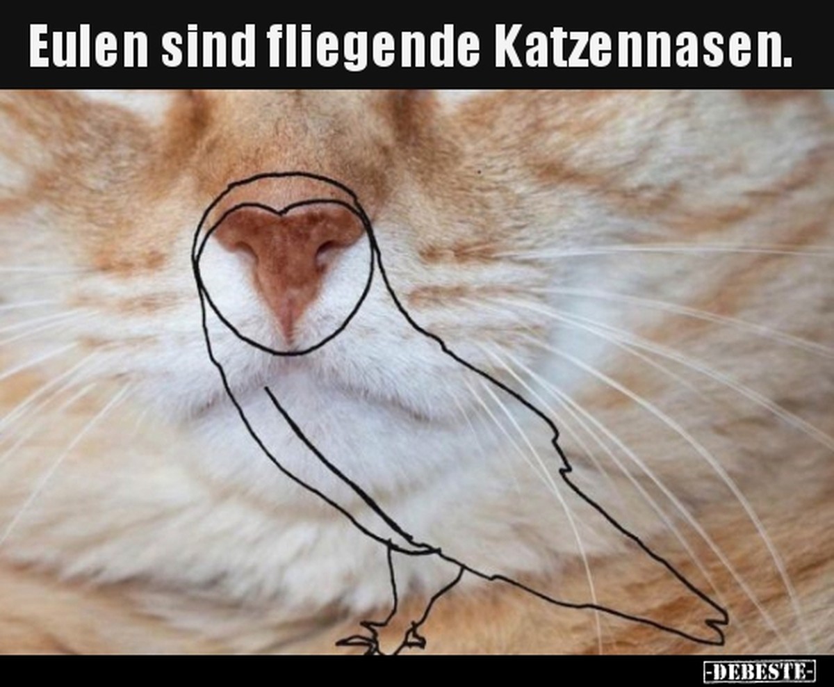 Ferien! Alle weg! Nur einer bleibt: PICDUMP ЁЯЩГ
Hier noch ein interessanter Fakt ЁЯдФ