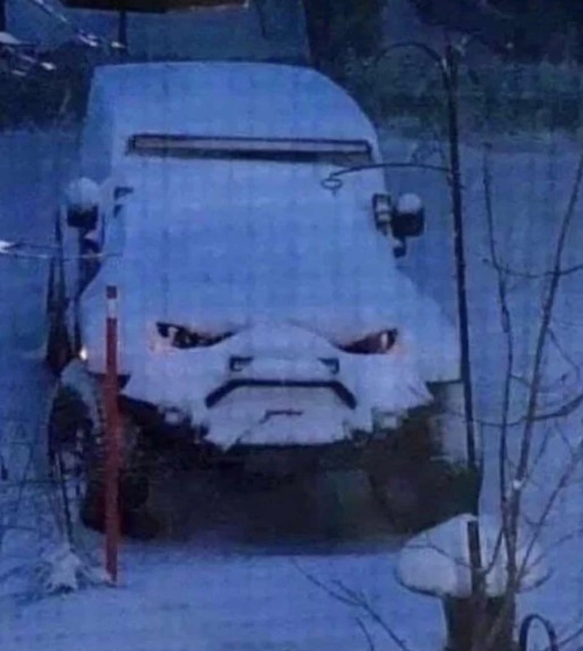 Winter Memes