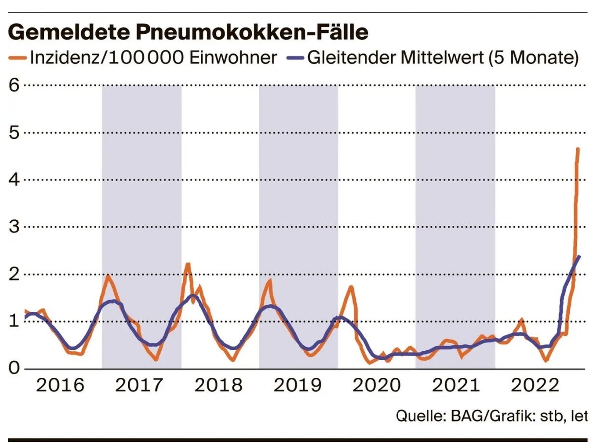Gemeldete Pneumokokken-Fälle