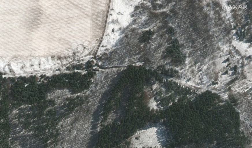 This satellite image provided by Maxar Technologies shows troops and equipment deployed in trees and towed artillery in firing position, northwest of Antonov Airport in Lubyanka, Ukraine, during the R ...