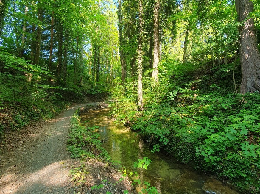 Küsnachtertobel Küsnachter Tobel Drachenhöhle