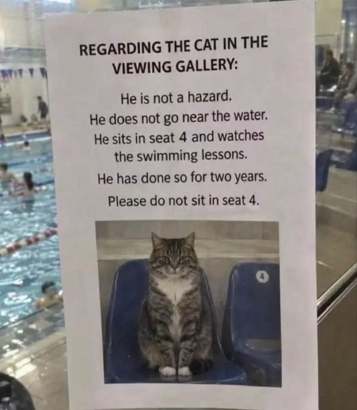 Picdump 209 – der Meme-Mittwoch wartet auf dich!\n