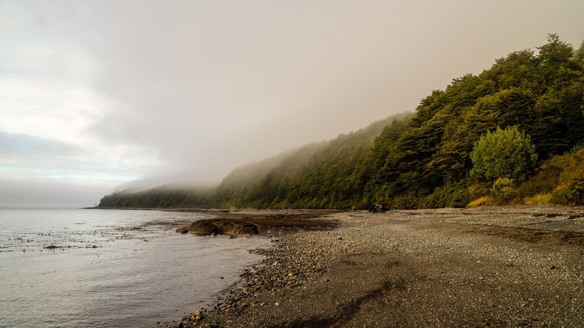Coastline with trees along the Cabo Froward Trek in Chile`s Patagonia area., Coastline with trees along the Cabo Froward Trek in Chile`s Patagonia area...