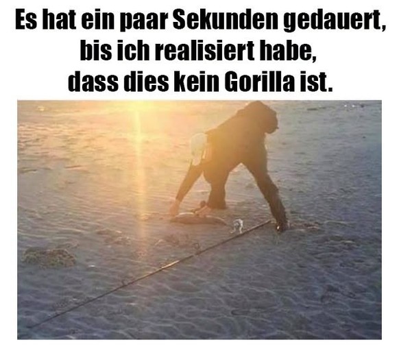 Picdump 198 вЂ“ kommt so sicher wie die nГ¤chste Hitzewelle\nрџ¤Ї