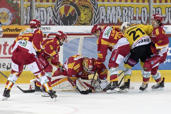 Tigers Anton Gustafsson, Flurin Randegger, Goalie Ivars Punnenovs, Yannick Blaser, Raphael Kuonen, von links, kaempfen um den Puck, gegen Berns Simon Moser, Mitte, waehrend dem Meisterschaftsspiel der ...