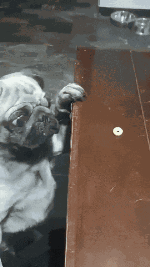 Animiertes GIF