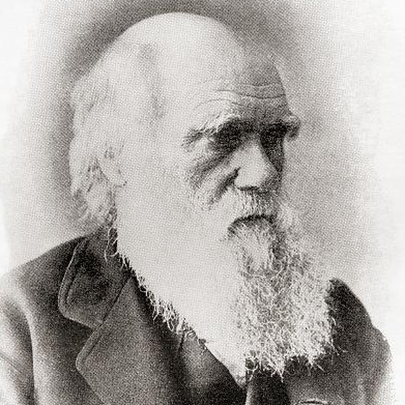 Charles Robert Darwin, 1809 - 1882. English naturalist. From International Library of Famous Literature, published c.1900. (Photo by: Universal History Archive/Universal Images Group via Getty Images)