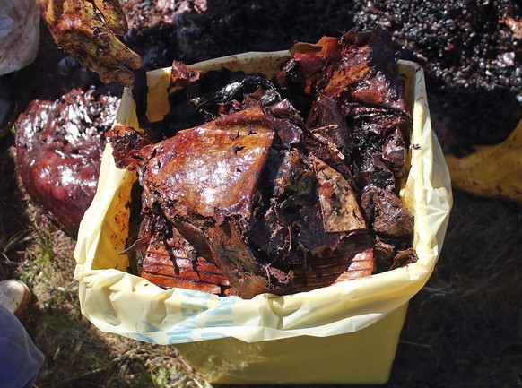 This photo taken on Saturday March 30, 2019 provided by SEAME Sardinia Onlus, shows plastic recovered from the belly of a whale, in Porto Cervo, Sardinia island, Italy. The World Wildlife Foundation i ...