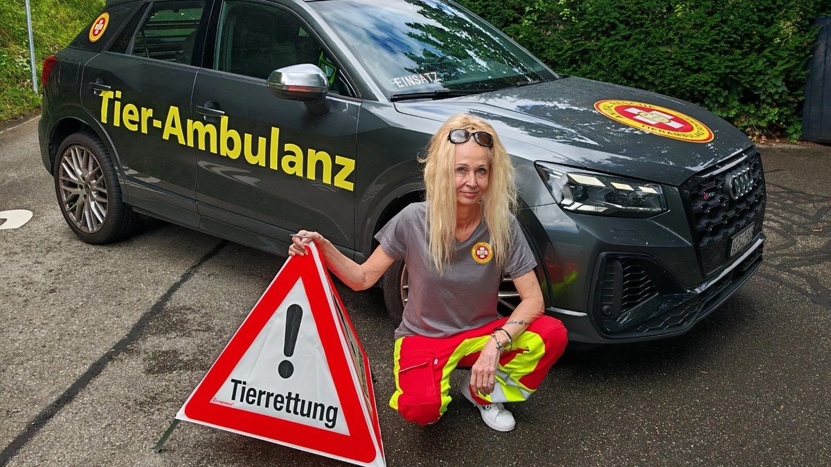 Chefin-der-neuen-Tier-Ambulanz-ber-Katzen-die-am-1-August-vom-Balkon-springen