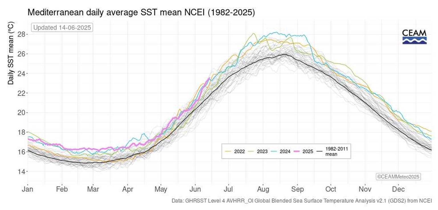 Die Oberflächentemperatur im Mittelmeer Mitte Juni 2025.