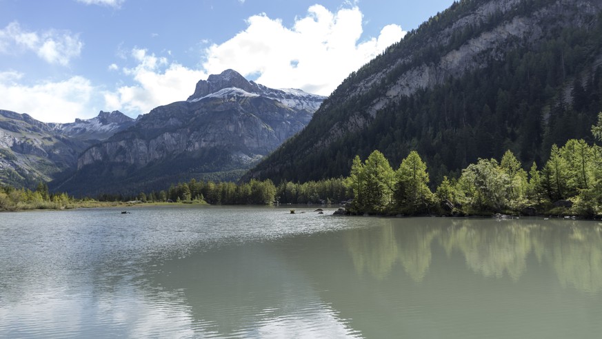 ARCHIV --- ZUM MELDUNG, DASS DIE SCHWEIZER BEVOELKERUNG UMWELTBEWUSSTER GEWORDEN IST, STELLEN WIR IHNEN FOLGENDES BILD ZUR VERFUEGUNG --- The lake and primeval forest of Derborence belong to the munic ...