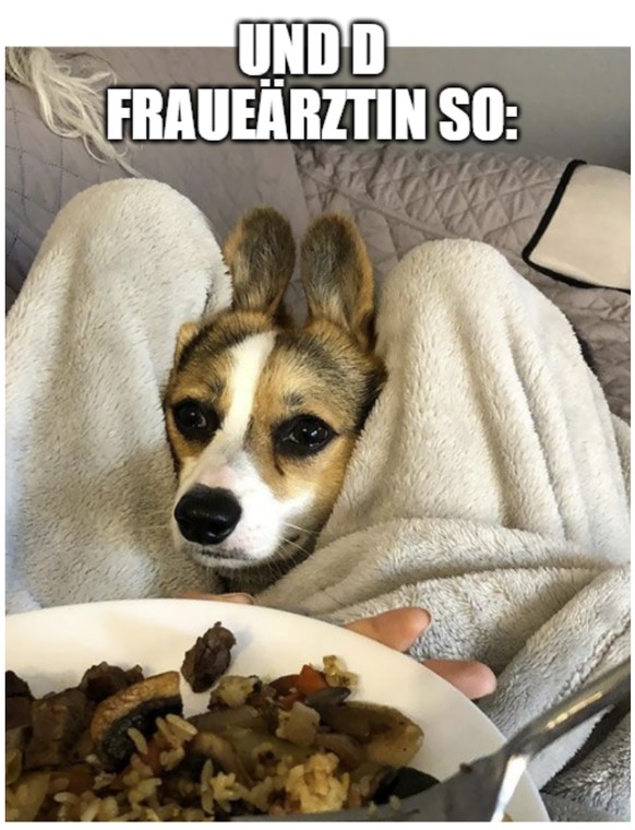 Memes zum Termin beim Frauenarzt