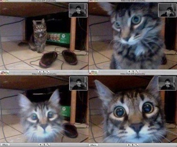 Katze Webcam
https://imgur.com/gallery/ufdNaP2