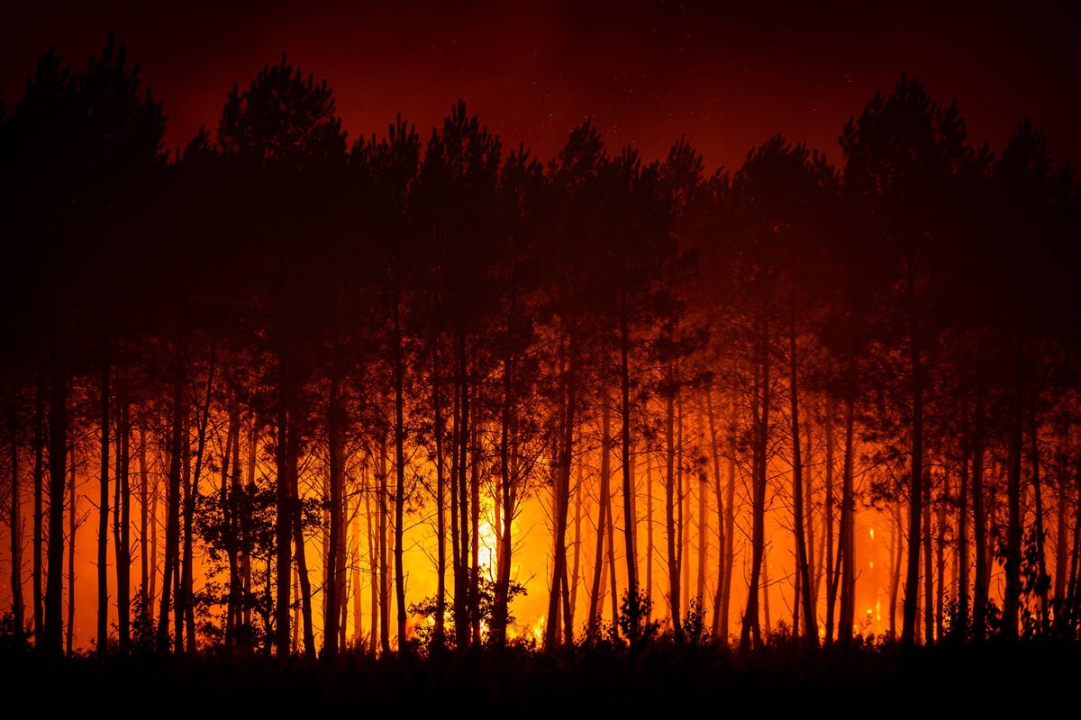 Images of firefighters and rescue workers battling the fires ravaging the Gironde overnight, July 27, 2026 SDIS33 Julien Soulard Amael Dubiez Bestimage Images of firefighters and rescue workers battli ...