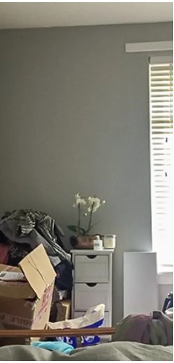 second image