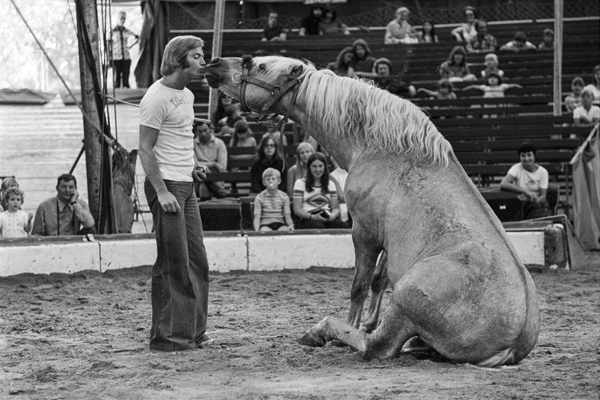 SCHWEIZ CIRCUS KNIE 1974
In August 1974 a press event took place in the tent of Circus Knie. Rolf Knie junior kisses a sitting horse. (KEYSTONE/Str) Im August 1974 findet ein Presseanlass im Zelt des  ...