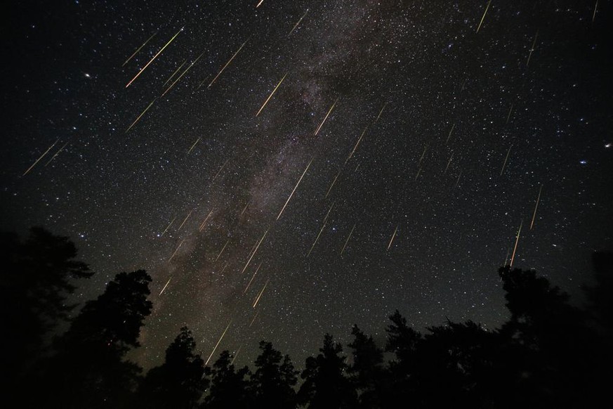 Perseid Meteor Shower. Collage of photos taken on the night of August 12, 2016 in the mountains of Arkhyz. Beautiful annual celestial event against the background of the Milky Way over the forest