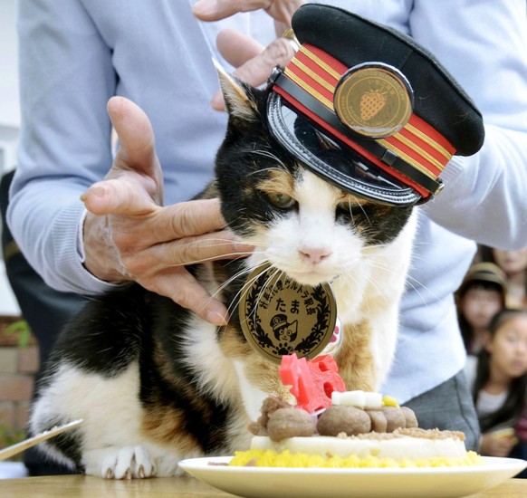 Tama an ihrem 16. Geburtstag.