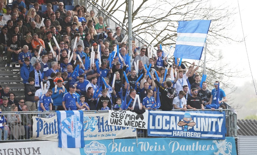 31.03.2024, Profertil Arena Hartberg, Hartberg, AUT, 1. FBL, TSV Egger Glas Hartberg vs SK Rapid Wien, Meistergruppe, im Bild Fans von Hartberg // during the Admiral Bundesliga, Champion group match b ...