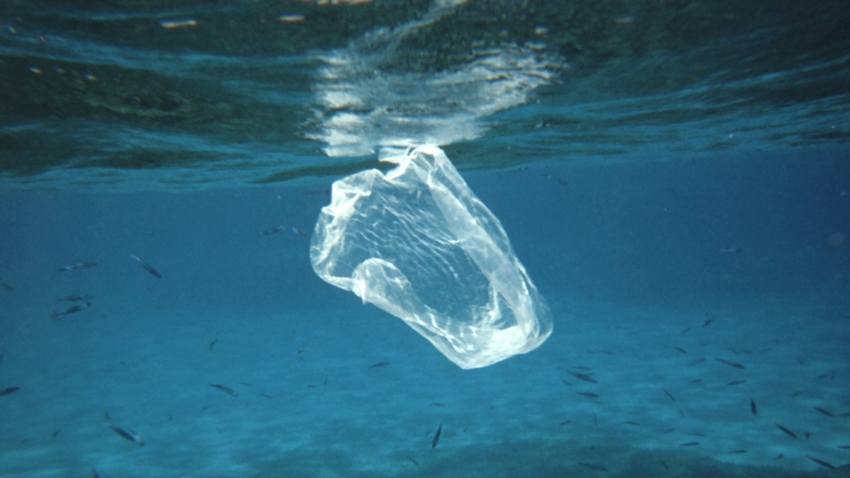 Plastiksack plastic sea mikroplastik micro meer