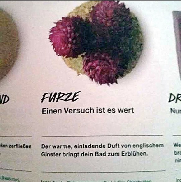 Es ist Zeit fГјr deine 5 Minuten am Tag: PICDUMP!
Wenn du beim wichteln diesen einen speziellen Arbeitskollegen ziehst und nicht weisst was du ihm schenken solltest рџ¤·рџЏјвЂЌв™ЂпёЏ